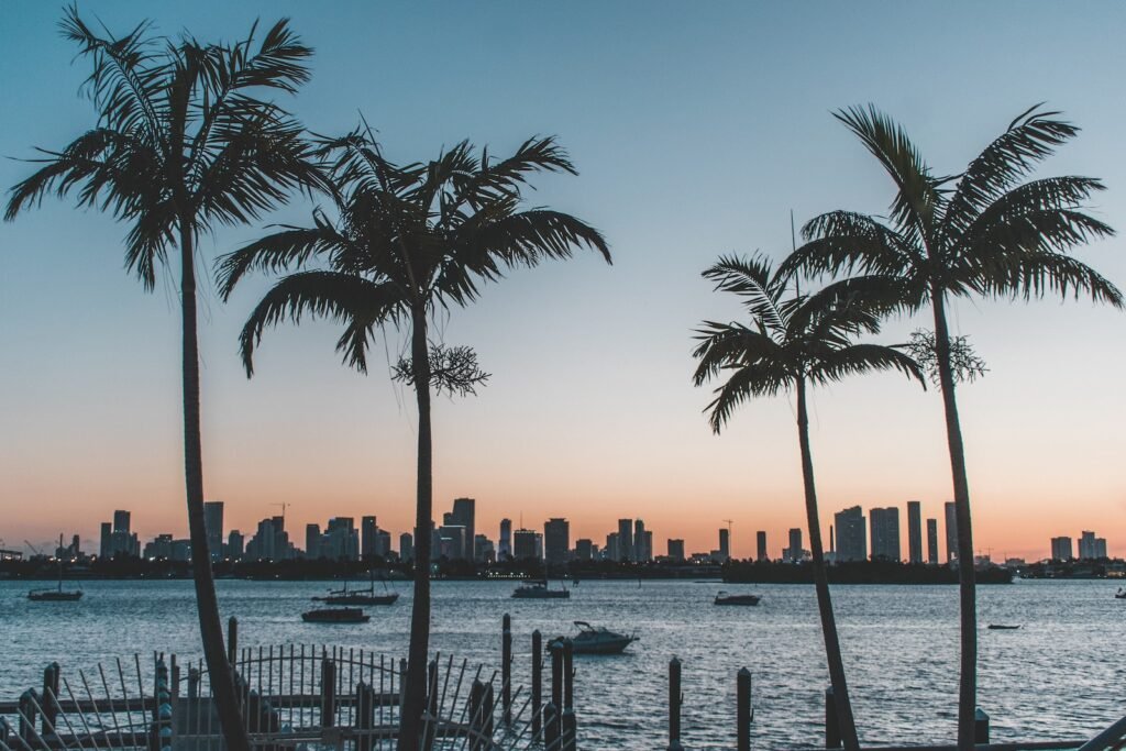 AC Installation in Wellington, West Palm Beach, Boca Raton and the surrounding area. A photo of palm trees near body of water during sunset.