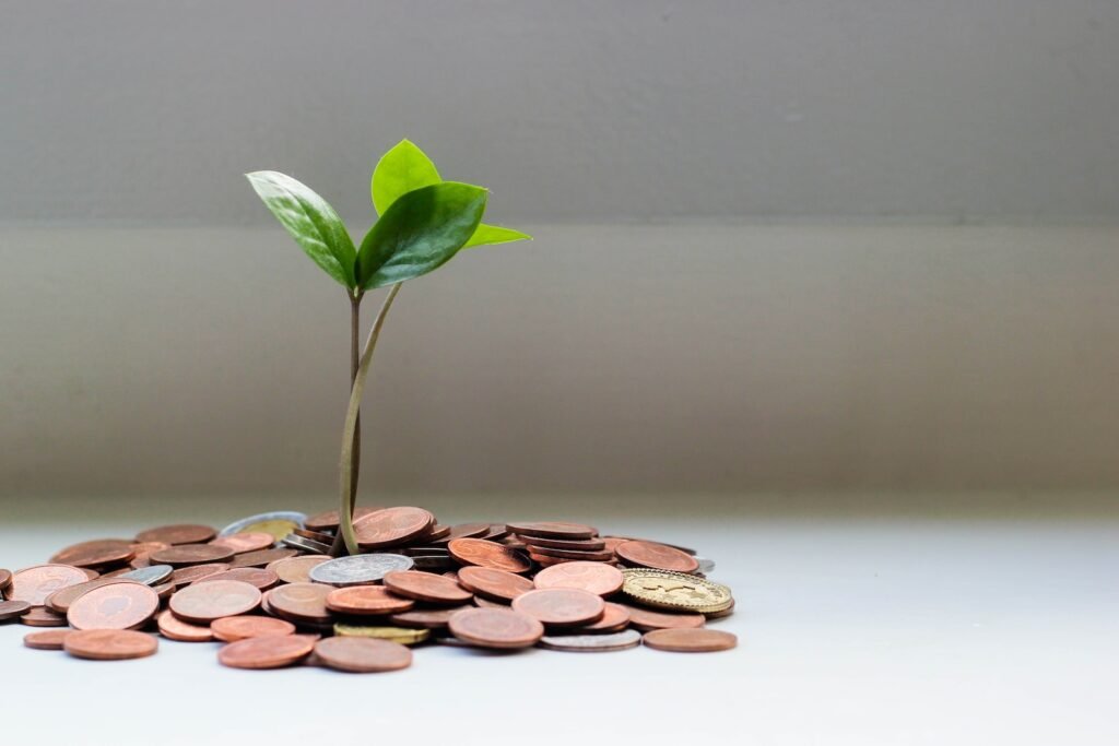 Now Air Conditioning HVAC Services in Wellington, FL and Surrounding areas. A small green plant growing from coins.